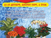 Afisha Bishkek Park 2014